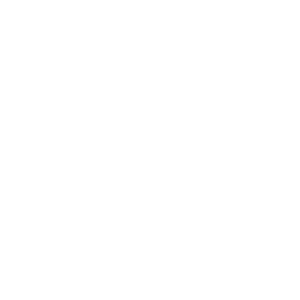 OnPoint_LOGO_weiss