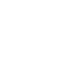 Vicon.png